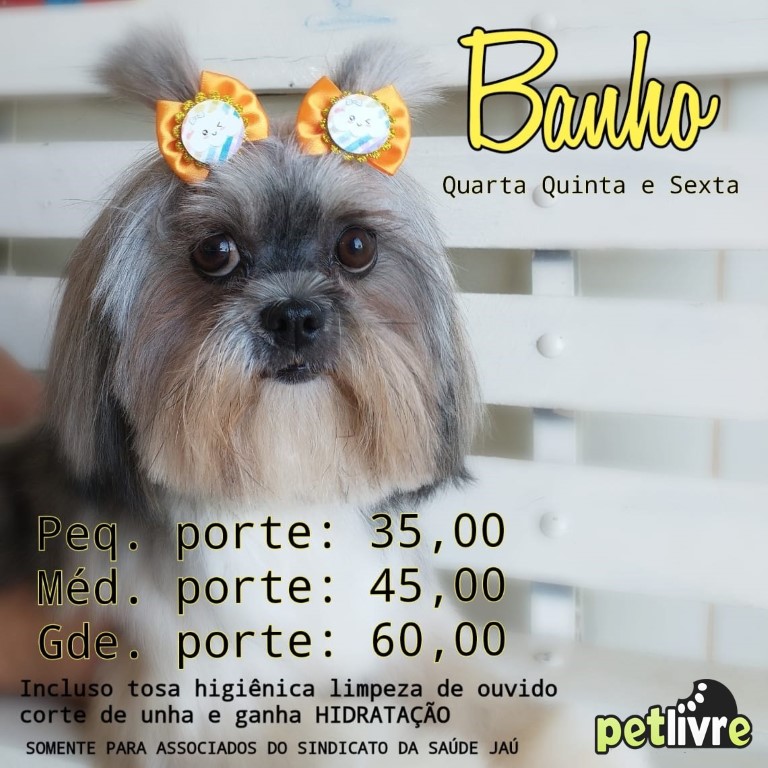 pet_livre_1