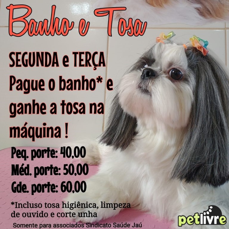 pet_livre_2