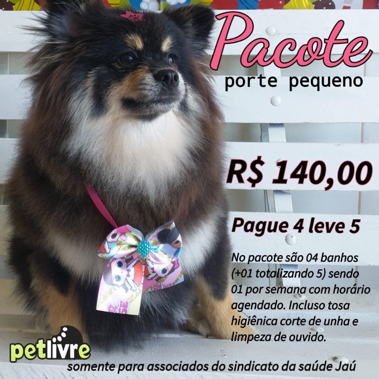 pet_livre_3